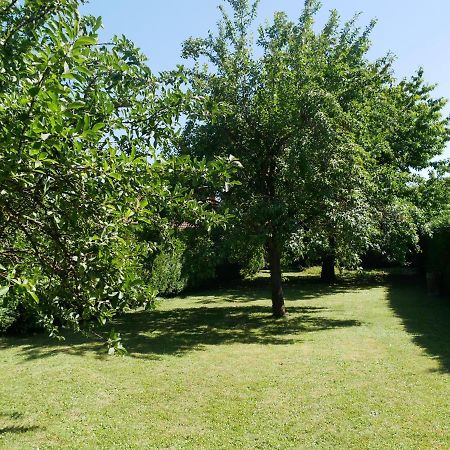 Au Gre Des Chateaux Goxwiller Buitenkant foto