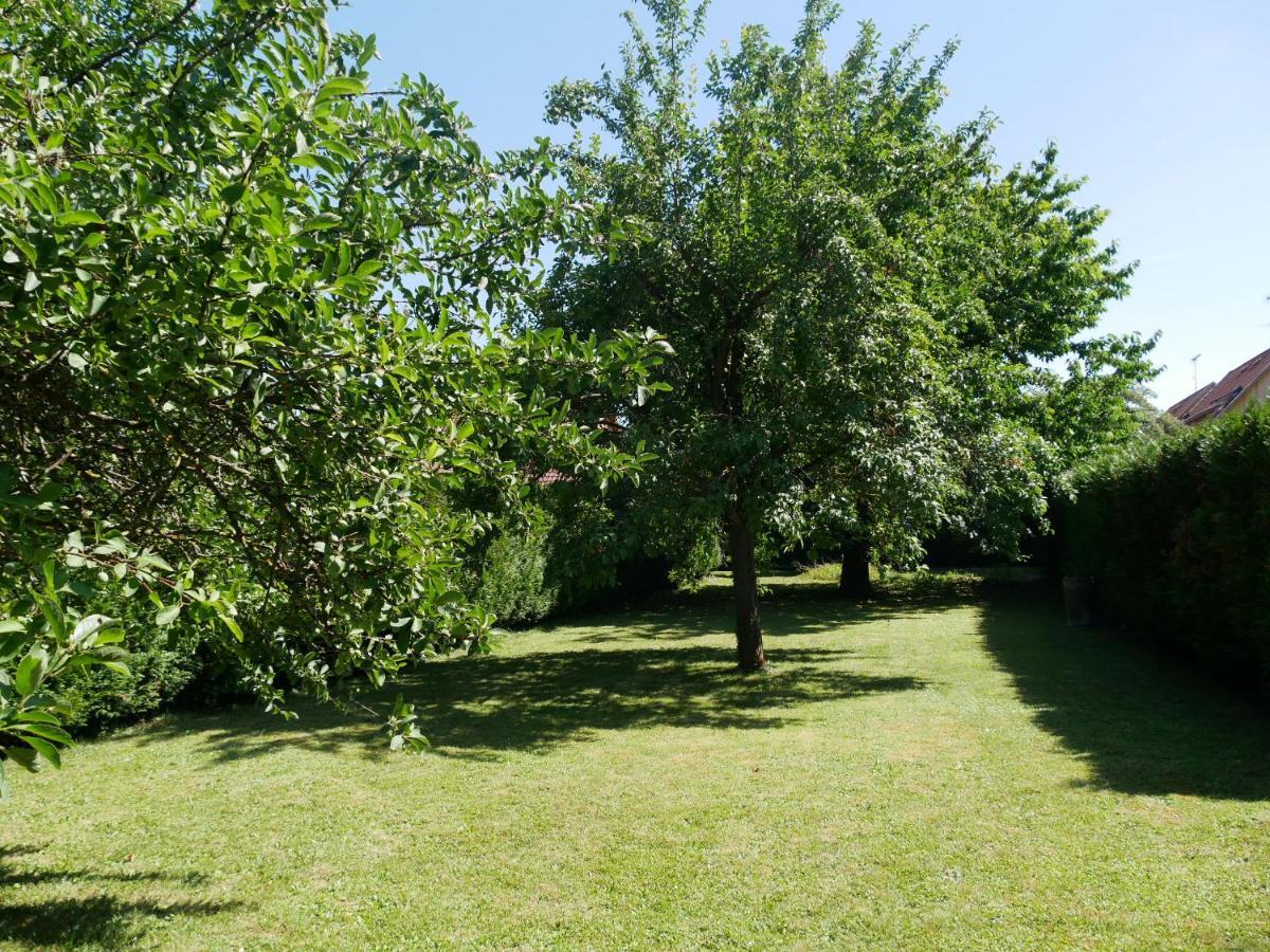Au Gre Des Chateaux Goxwiller Buitenkant foto